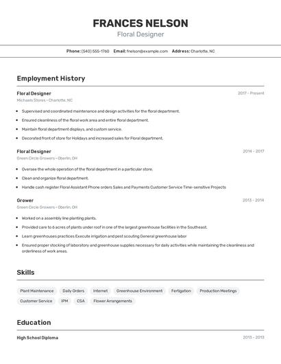 Resume example 2