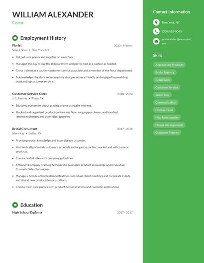 Resume example 5