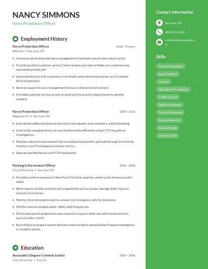 Resume example 4
