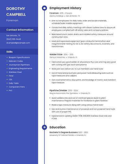 Resume example 4