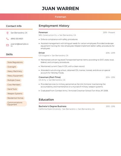 Resume example 3