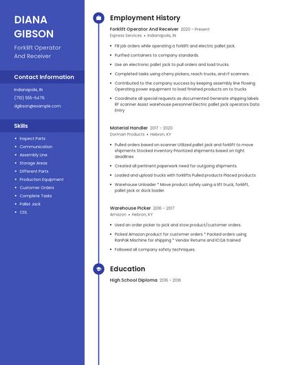 Resume example 5