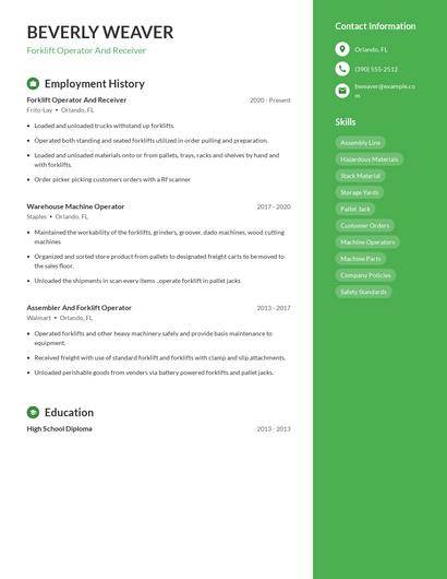 Resume example 4