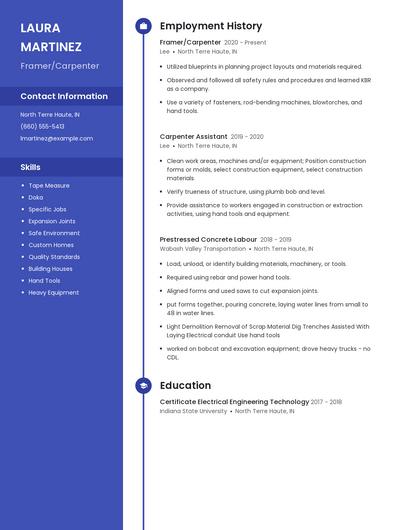 Resume example 5