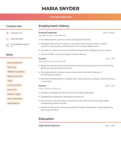 Resume example 3