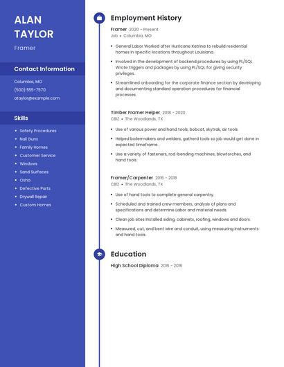 Resume example 5