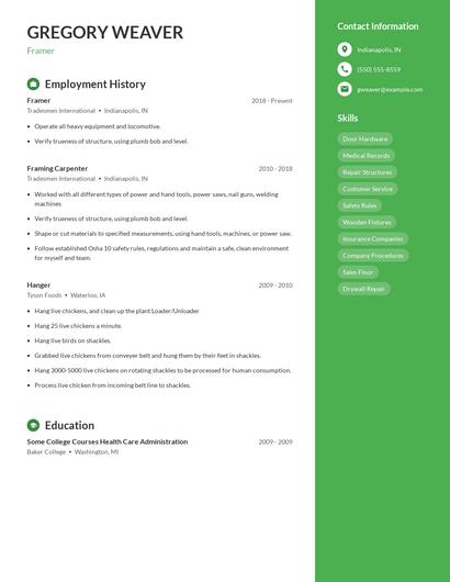 Resume example 4
