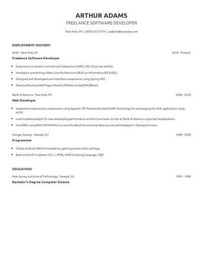 Freelance Software Developer Resume