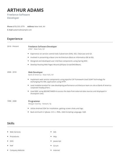 Freelance Software Developer Resume