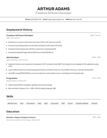 Freelance Software Developer Resume