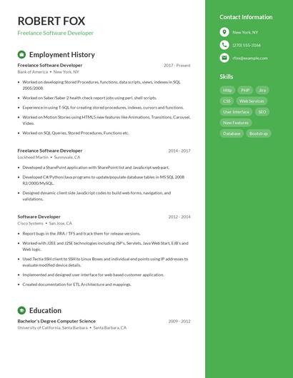 Freelance Software Developer Resume