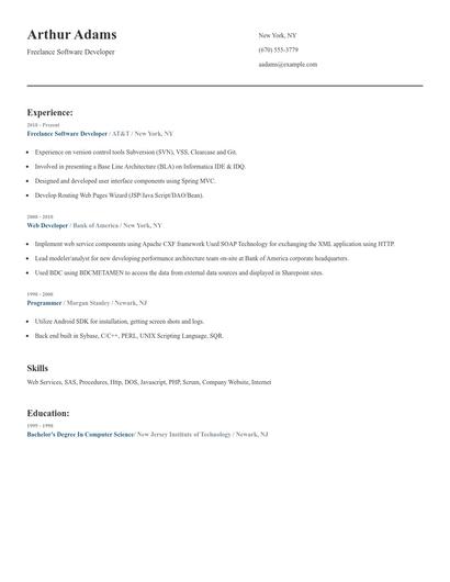 Freelance Software Developer Resume