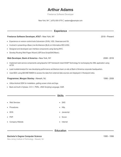 Freelance Software Developer Resume