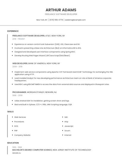 Freelance Software Developer Resume