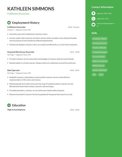 Resume example 4