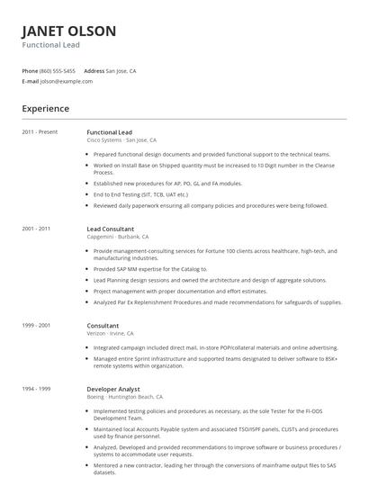 Functional Lead Resume