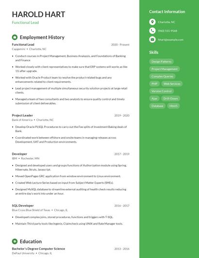 Resume example 4
