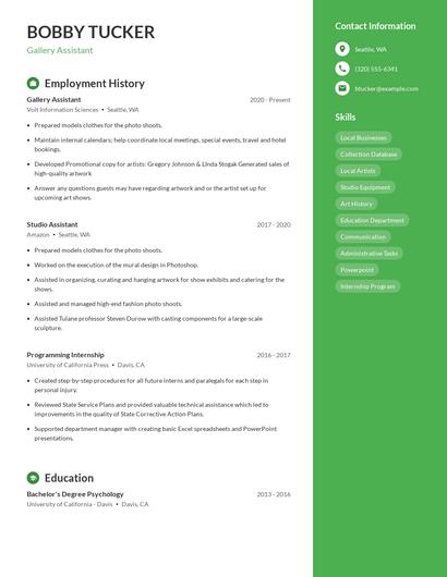 Gallery Assistant Resume