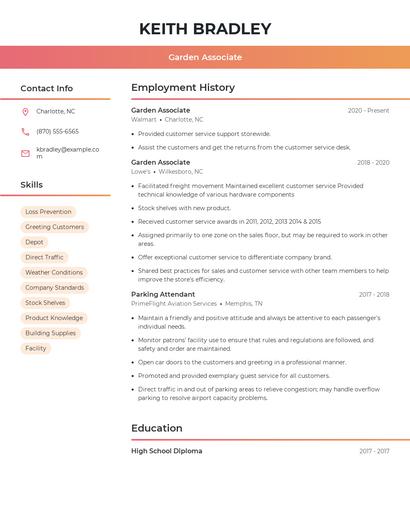 Resume example 3