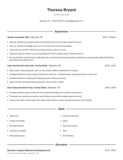 Resume example 1