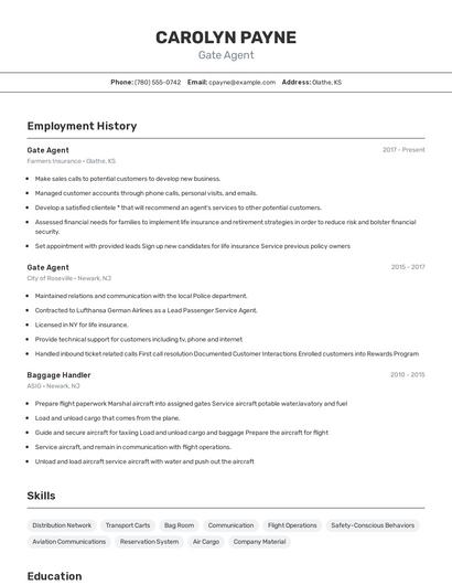 Gate Agent Resume