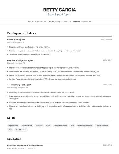 Resume example 2