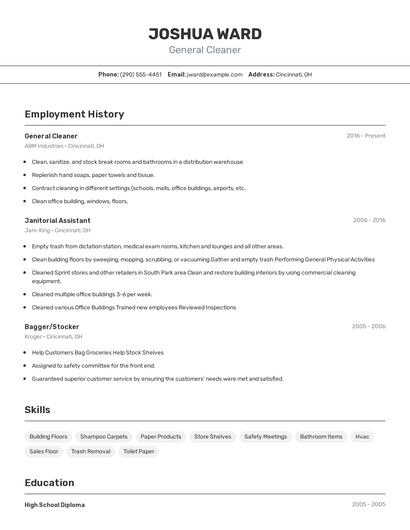 Resume example 2