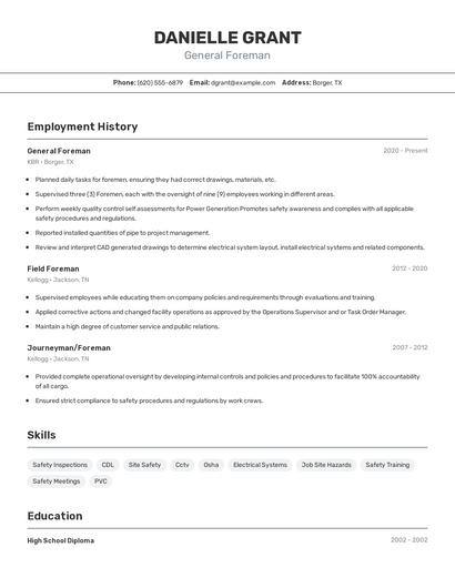 Resume example 2