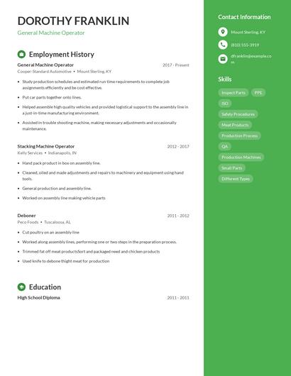 Resume example 4