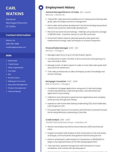 General Manager/Director Of Sales Resume