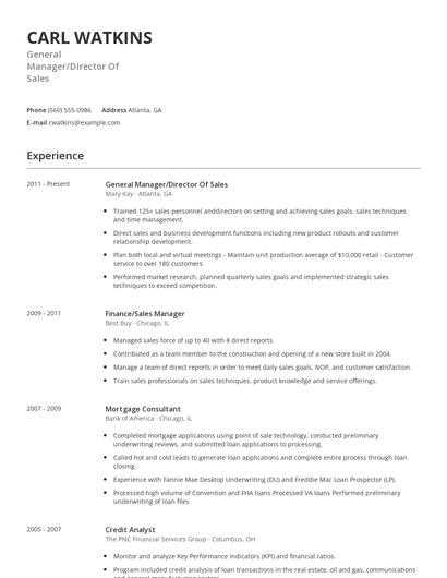 General Manager/Director Of Sales Resume