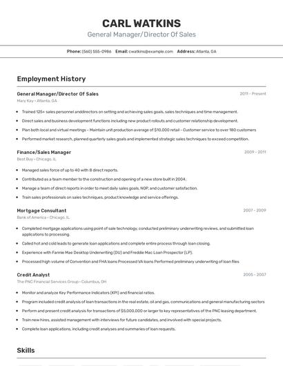 General Manager/Director Of Sales Resume