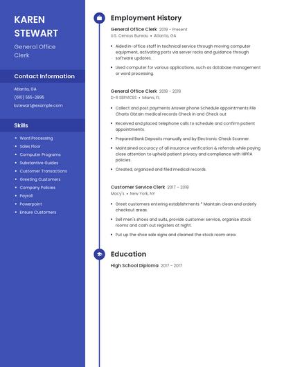 Resume example 5
