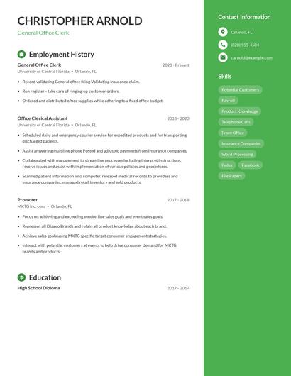 Resume example 4