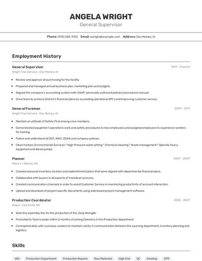Resume example 2