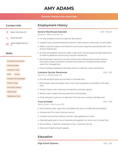 Resume example 3