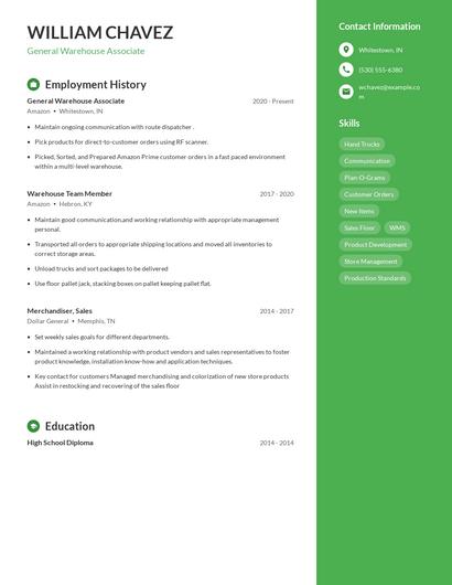 Resume example 4