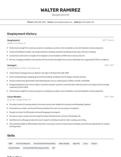 Resume example 2