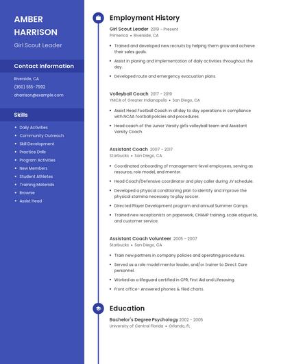 Resume example 4