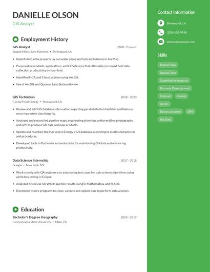 Resume example 5