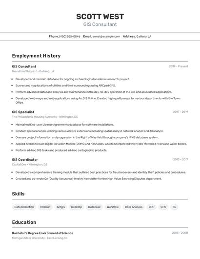 GIS Consultant Resume