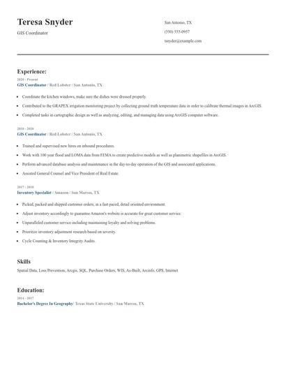 GIS Coordinator Resume