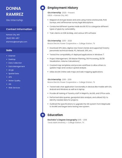 Resume example 5
