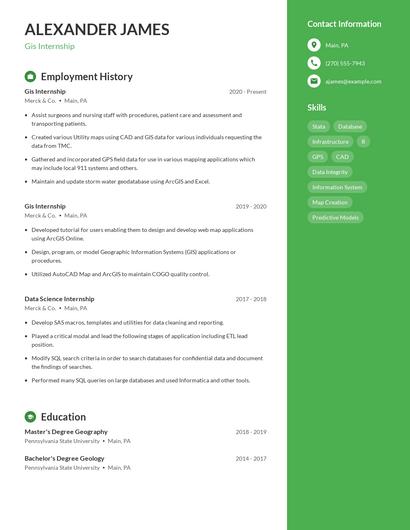 Resume example 4