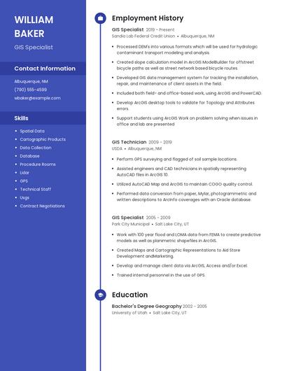 Resume example 4