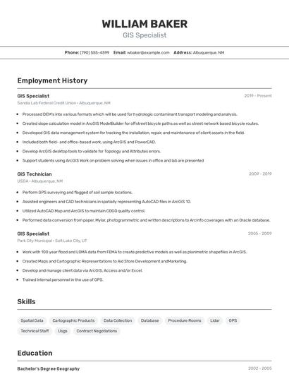 Resume example 2