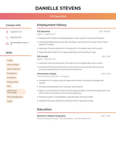 Resume example 3