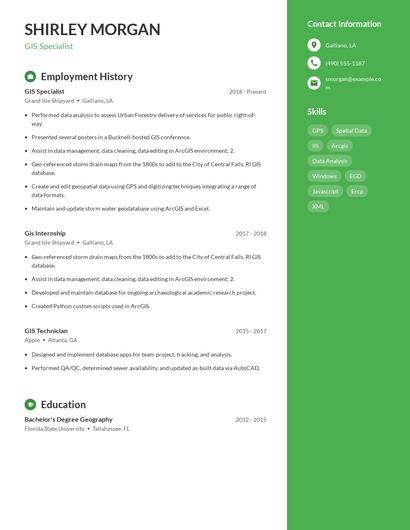 Resume example 5