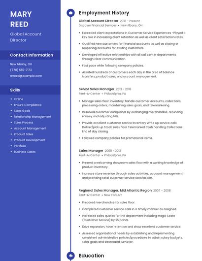 Global Account Director Resume