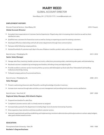 Global Account Director Resume